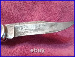 1990 Buck 110 X USA Folding Hunter knife Damascus Stag Handle 110X & Sheath NOS