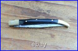 25 damascus custom made folding knife Laguiole Type From The Eagle Collection
