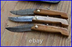 3 damascus 100% handmade beautiful folding knife From The Eagle Collection 2850
