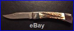 BUCK USA 110V Stag Damascus Folding Hunter Knife