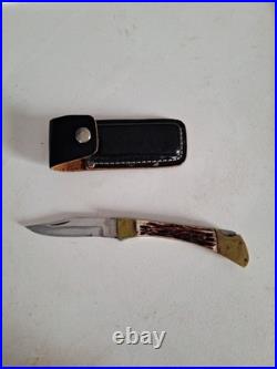 Buck 110 Folding Hunter knife Damascus Steel With Stag Handles