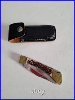 Buck 110 Folding Hunter knife Damascus Steel With Stag Handles