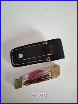 Buck 110 Folding Hunter knife Damascus Steel With Stag Handles