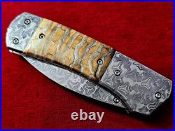 CUSTOM FOLDING KNIFE Stainless Damascus STEEL Fossil Titanium Craft Art RARE #18