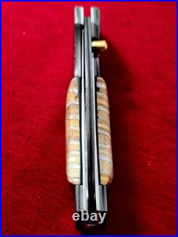 CUSTOM FOLDING KNIFE Stainless Damascus STEEL Fossil Titanium Craft Art RARE #18