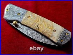 CUSTOM FOLDING KNIFE Stainless Damascus STEEL Fossil Titanium Craft Arts RARE #7