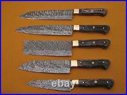 CUSTOM HAND FORGED Damascus Steel Knife Set of 5 Chef Set For Kitchen CH-57
