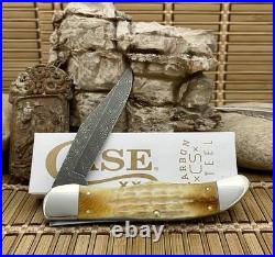 Case XX USA Deep Canyon Burnt Natural Bone 27237 Damascus Folding Hunter Knife
