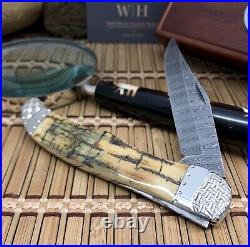 Case XX Wild Horse Custom Exotic FOSSIL Ladder DAMASCUS Folding Hunter Knife #01