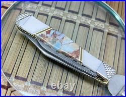 Case XX Wild Horse Custom Red Brown Jasper Damascus Swell Center Jack Knife #1/1
