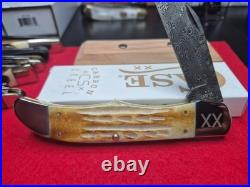 Case xx Knife Folding Hunter Burnt Natural Bone 27237 Damascus Pocket Knives