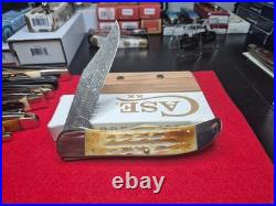 Case xx Knife Folding Hunter Burnt Natural Bone 27237 Damascus Pocket Knives
