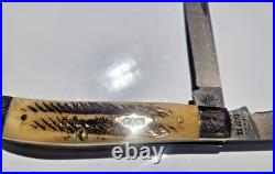 Case xx Vintage Bone Mini Trapper WithDamascus Blade. V6207 DAM