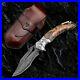 Clip-Point-Folding-Knife-Pocket-Hunting-Survival-Wild-Damascus-Steel-Wood-Handle-01-wpgt