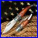 Clip-Point-Folding-Knife-Pocket-Hunting-Wild-Survival-Damascus-Steel-Wood-Handle-01-bza