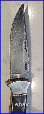 Custom Folding Knife By Antonio, Damascus, Buffalo Horn, Crown Stag, File Worked