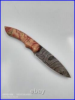 Custom Stabilized Handle Damascus Pocket Knife-Liner Lock Damascus Folding Knife