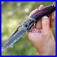 Drop-Point-Folding-Knife-Pocket-Hunting-Survival-Wild-Damascus-Steel-Wood-Handle-01-nw