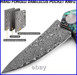 Folding Knife Damascus VG10 Pocket Knives Blade Tactical Hunting Outdoor Tools