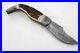 Hand-Made-Custom-Damascus-Knife-Folding-Blade-with-Stag-Genuine-Leather-Sheath-01-tg