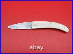 Handmade Damascus Steel Pocket Folding Knife Camel Bone Handle 28 Pieces K 63