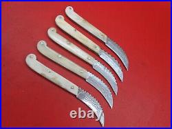 Handmade Damascus Steel Pocket Folding Knife Camel Bone Handle 5 Piece K 310