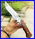 Handmade-Hunting-Knife-VG10-Damascus-Steel-Folded-Layers-Fixed-Blade-Wood-Handle-01-niu