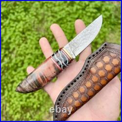 Handmade Knife Blade Steel Damascus Fossil Insert Stabilized Wood Red #274