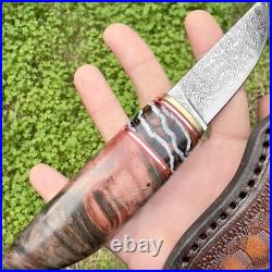 Handmade Knife Blade Steel Damascus Fossil Insert Stabilized Wood Red #274