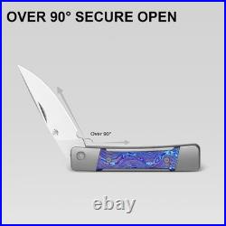 Kizer Little Grand EDC Folding Knife M390 Blade Titanium Damascus Handle Limited
