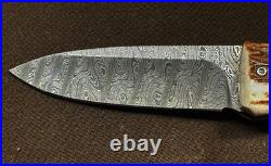 LIONSTEEL KNIVES OPERA 8800D-CE, DAMASCUS BLADE KNIFE With GENUINE STAG HANDLE