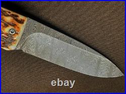 LIONSTEEL KNIVES OPERA 8800D-CE, DAMASCUS BLADE KNIFE With GENUINE STAG HANDLE