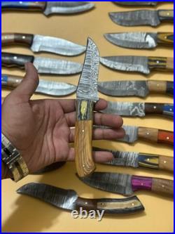 LOT OF 20 8'' inches HANDMADE DAMASCUS STEEL SKINNER KNIFE USA Duty PAID 62