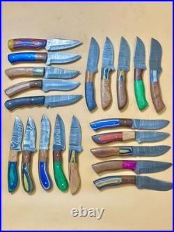 LOT OF 20 8'' inches HANDMADE DAMASCUS STEEL SKINNER KNIFE USA Duty PAID 62