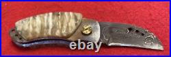 Mike Tamboli Custom Small Damascus Folding Knife Musk Ox, Lock Back