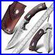 NEWOOTZ-Damascus-steel-Blade-Rosewood-and-Abalone-Handle-Folding-Pocket-knife-01-uxv
