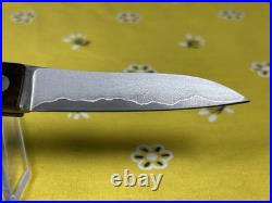 New Ohta, Hiroaki Custom Friction Folder Pocket Knife San Mai Damascus Blade