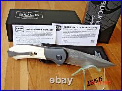 Nib Buck Knife 590 Ivsle Paradigm Bos Raindrop Damascus Blade G-10 Handles USA