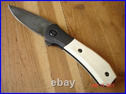 Nib Buck Knife 590 Ivsle Paradigm Bos Raindrop Damascus Blade G-10 Handles USA
