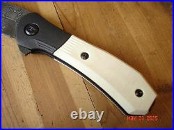 Nib Buck Knife 590 Ivsle Paradigm Bos Raindrop Damascus Blade G-10 Handles USA