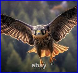 RARE Spyderco Caly 3 Carbon fiber/Ti Damascus Knife C113CFPD Japan