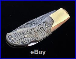 Rare Custom Damascus Lockback Pocket Knife Exotic Fossilized Turtle Bone Handles