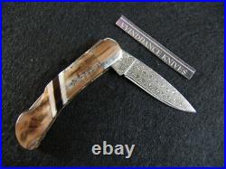 Santa Fe Stoneworks-mammoth Mocha Tusk-both Sides-damascus-folding Locking Knife