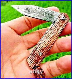 Spear Point Folding Knife Pocket Hunting Survival Damascus Steel Bone Handle EDC