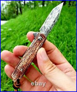 Spear Point Folding Knife Pocket Hunting Survival Damascus Steel Bone Handle EDC