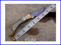 Stag Antler with Brass Art Work Exotic Scale 7.3 Long Damascus Folding Knife