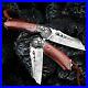 Wharncliffe-Folding-Knife-Pocket-Hunting-Tactical-Survival-Damascus-Steel-Wood-S-01-oqde