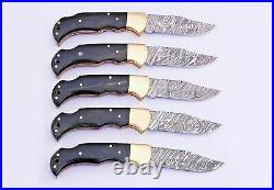 (lot Of 5)damascus Steel Blade Pocket Knife, Folding Lock Back, Horn Handle